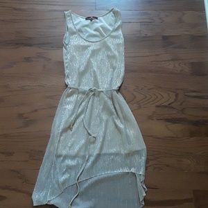 NWOT taupe glittery dress